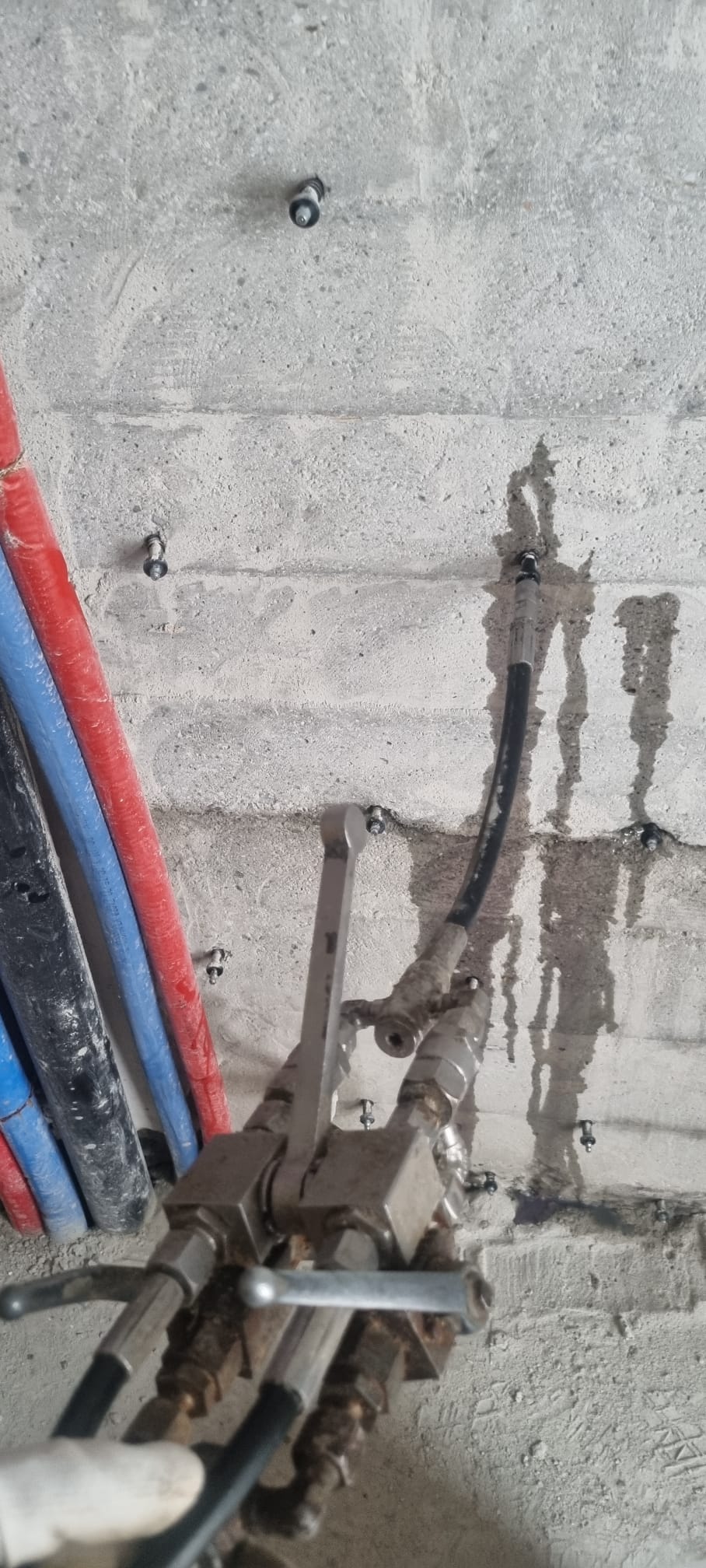 6d35385f-5ad1-4d1c-8bee-d94d284520a6