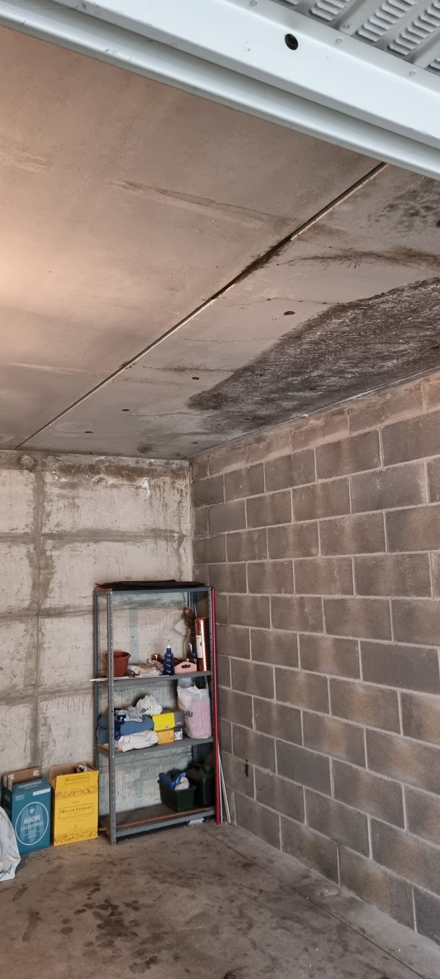 9c13100d-ec8d-4303-8756-4c8db163cd46