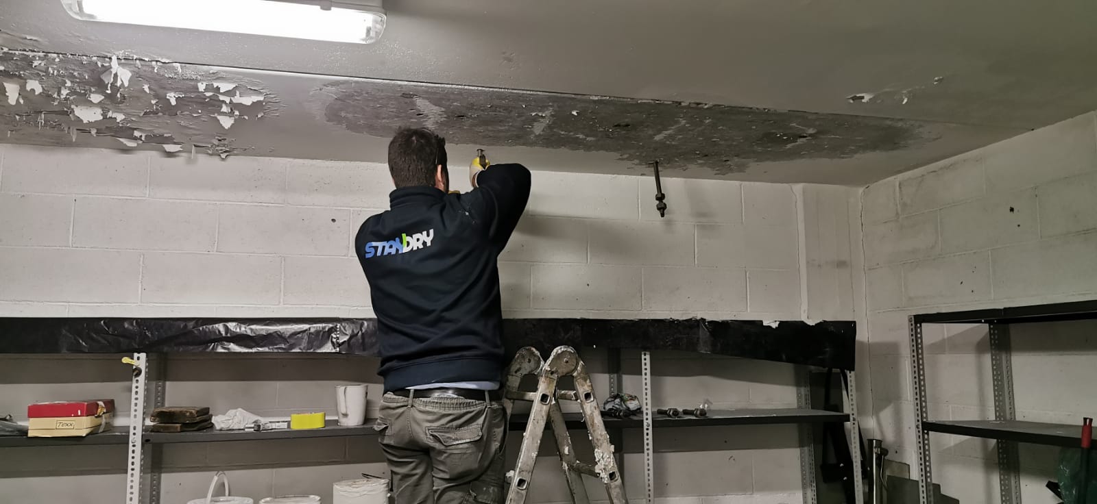 fae53f52-a58a-4aee-bd52-a59da76091e6