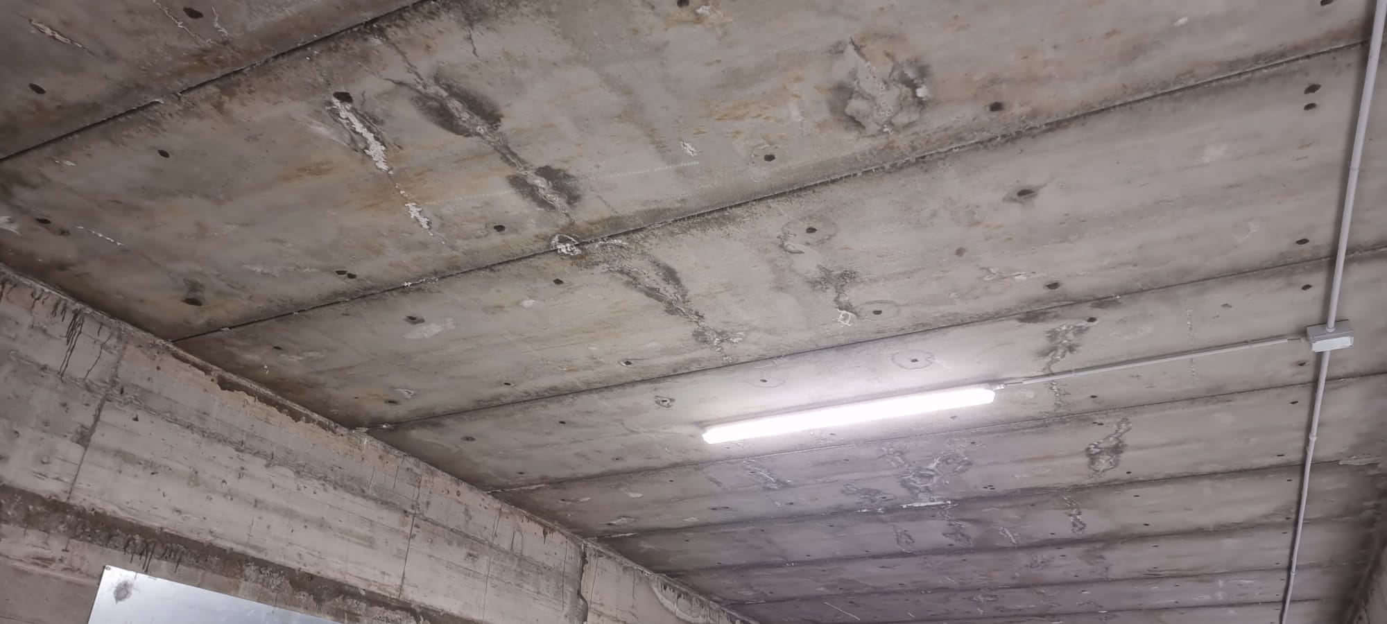 10a19b81-73ab-4bf3-b4d6-b3f685998a0f