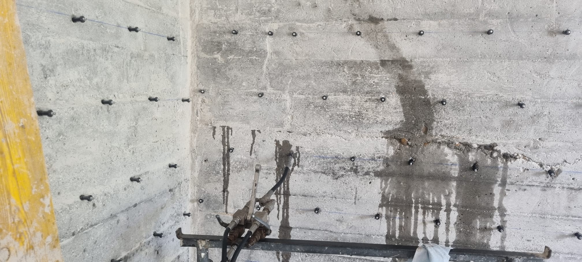 7b01d00f-5610-4445-84a4-4c26db0dff36