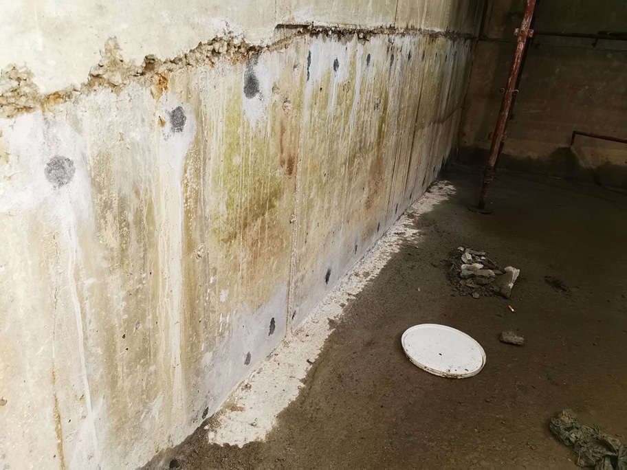 IMG_20191031_140419---Copia