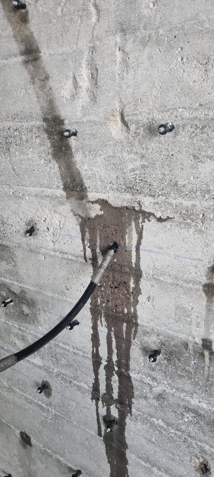 a2c6f03f-ac32-41a7-84da-05f9d7f48a98