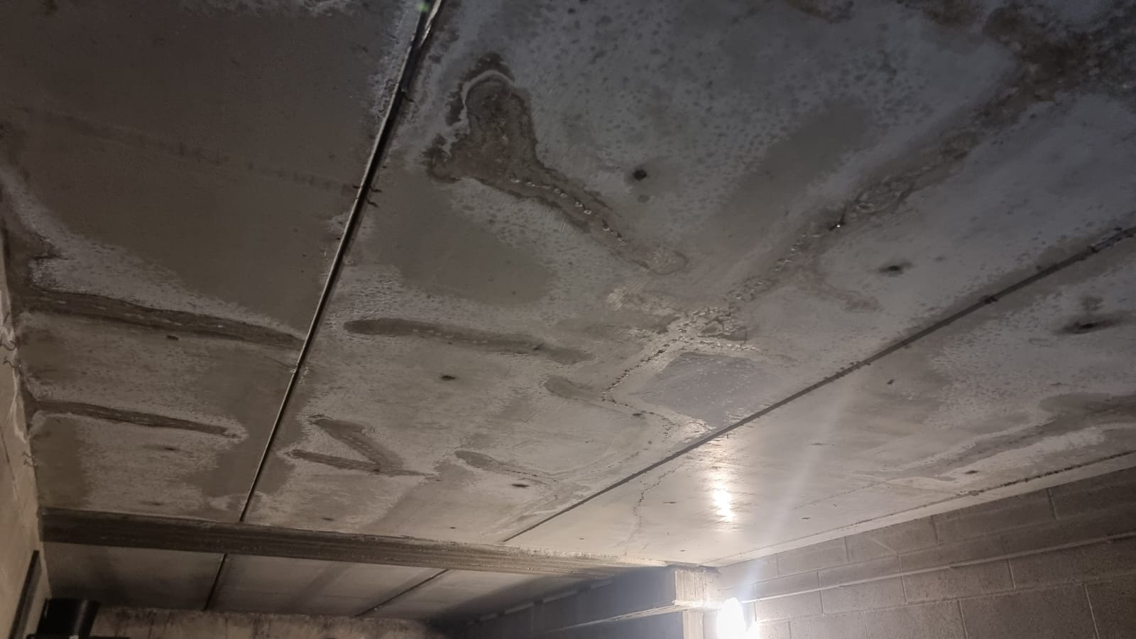 115db311-d4da-42c0-8fa6-0e281d38d2f7