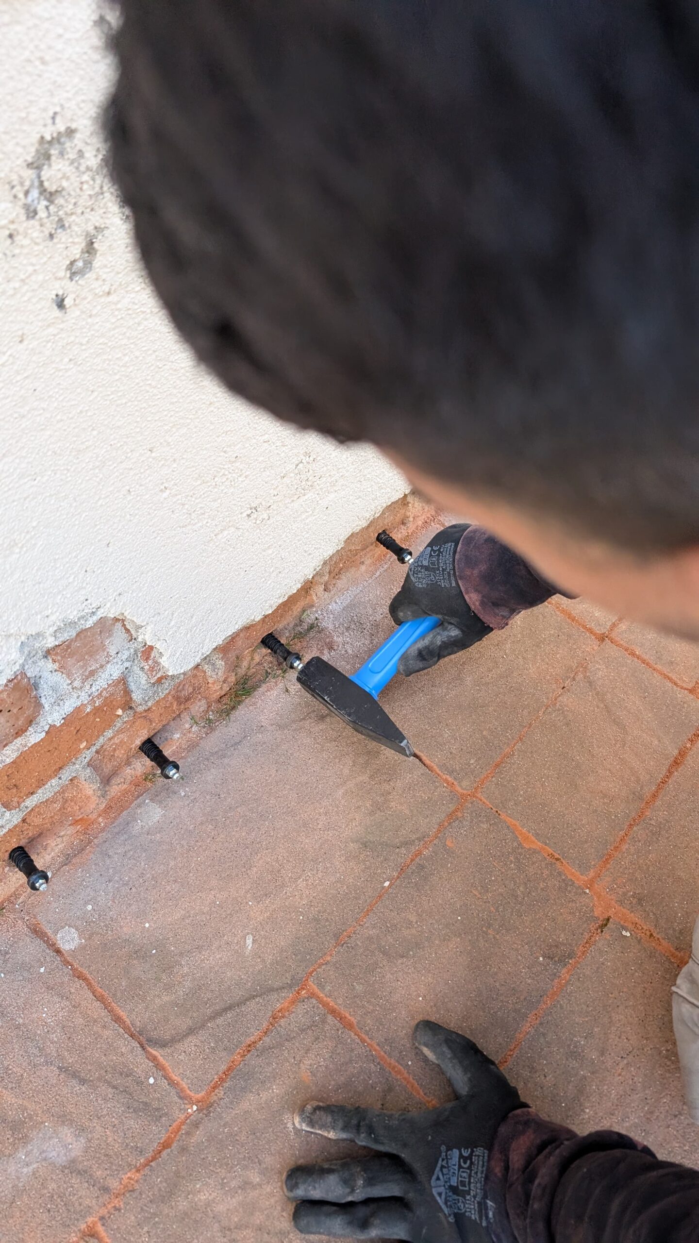 22687a69-e138-4c70-9967-6b0bc281ee45