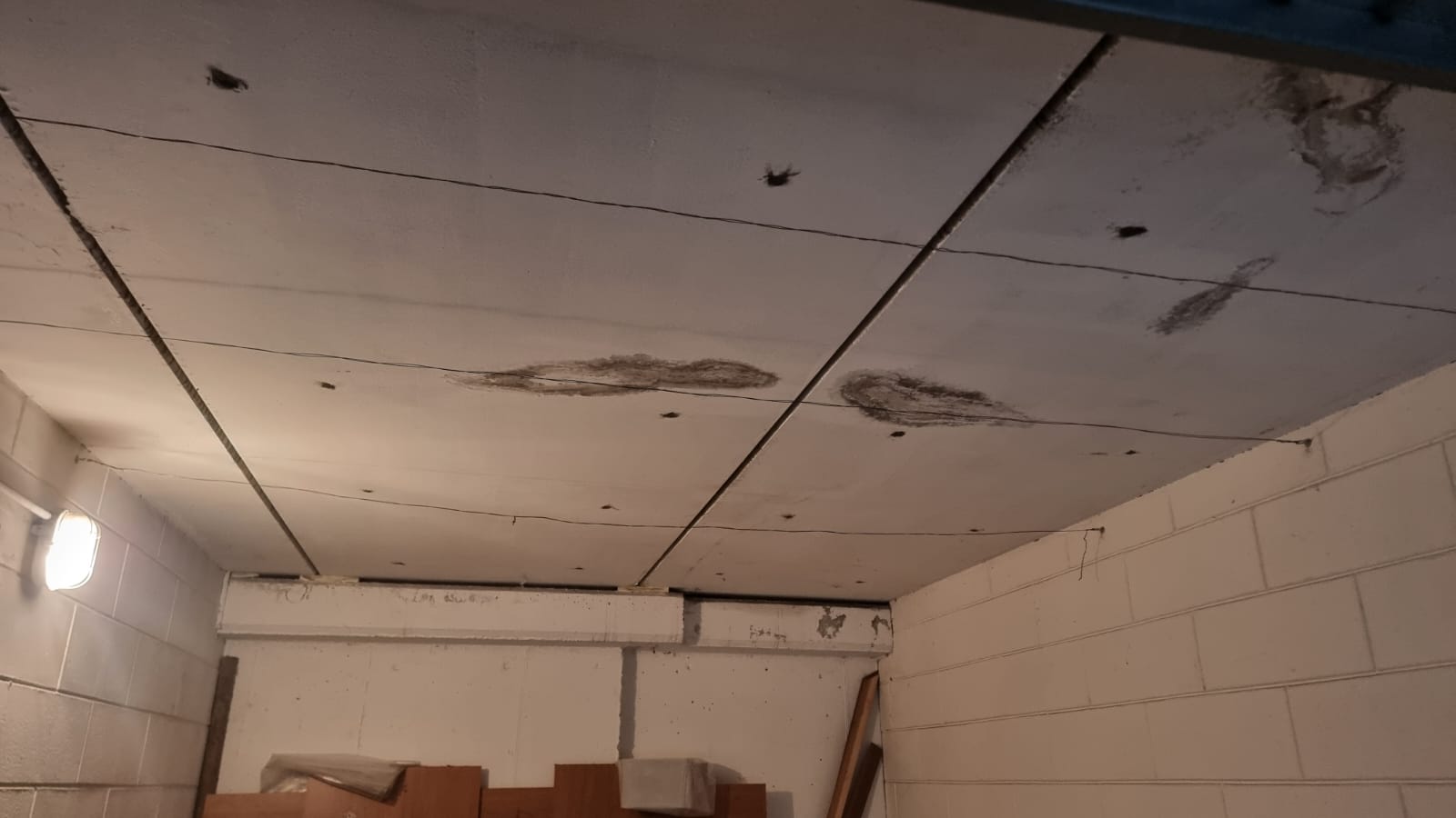 40f929d1-e856-42e4-a7cf-c822b882177c