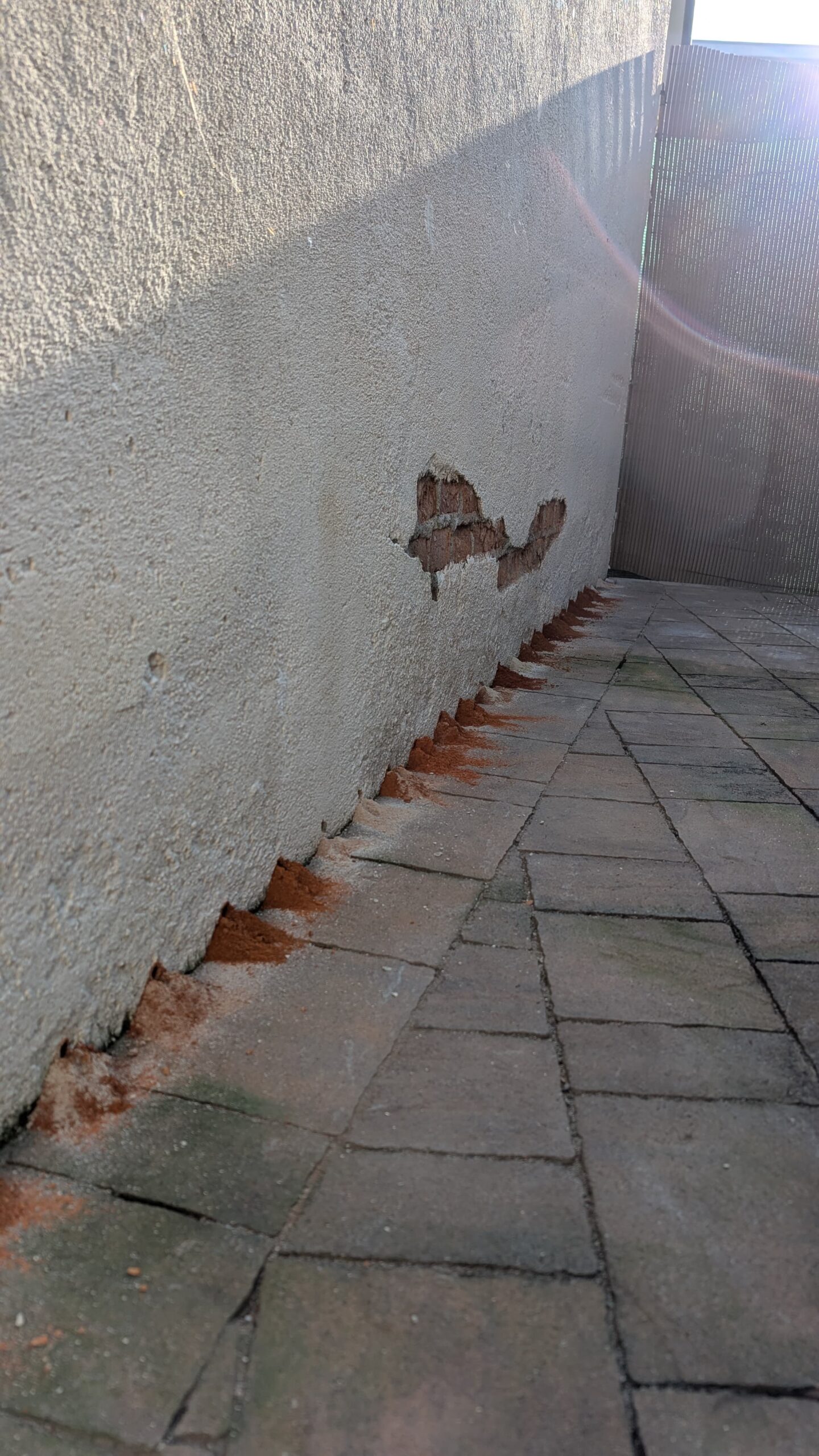 8f4a6e3a-82f8-40a9-b2d8-818a4442daf1