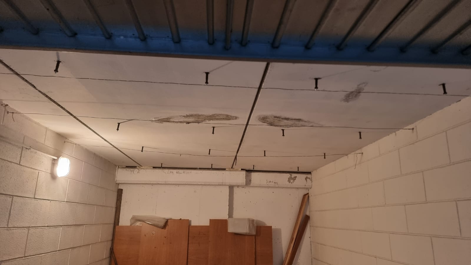 c8ce6874-e7fa-46b1-8de9-b5d2ec6c6ea0