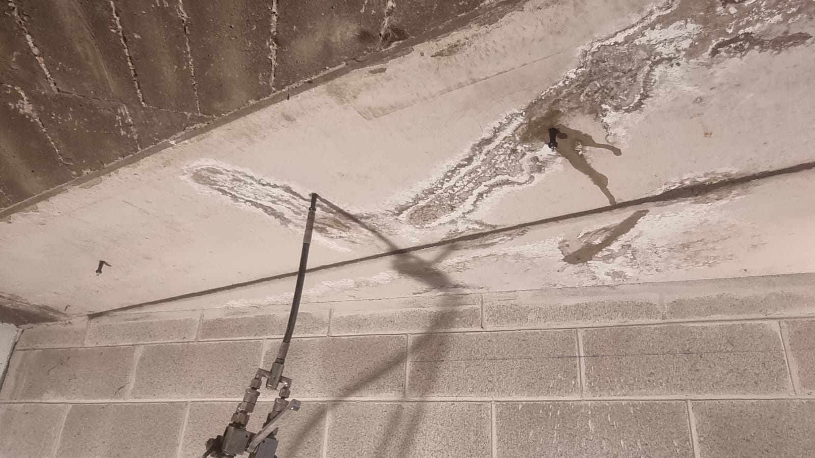 d61b2c2a-96b8-4989-acac-71648709e4ee