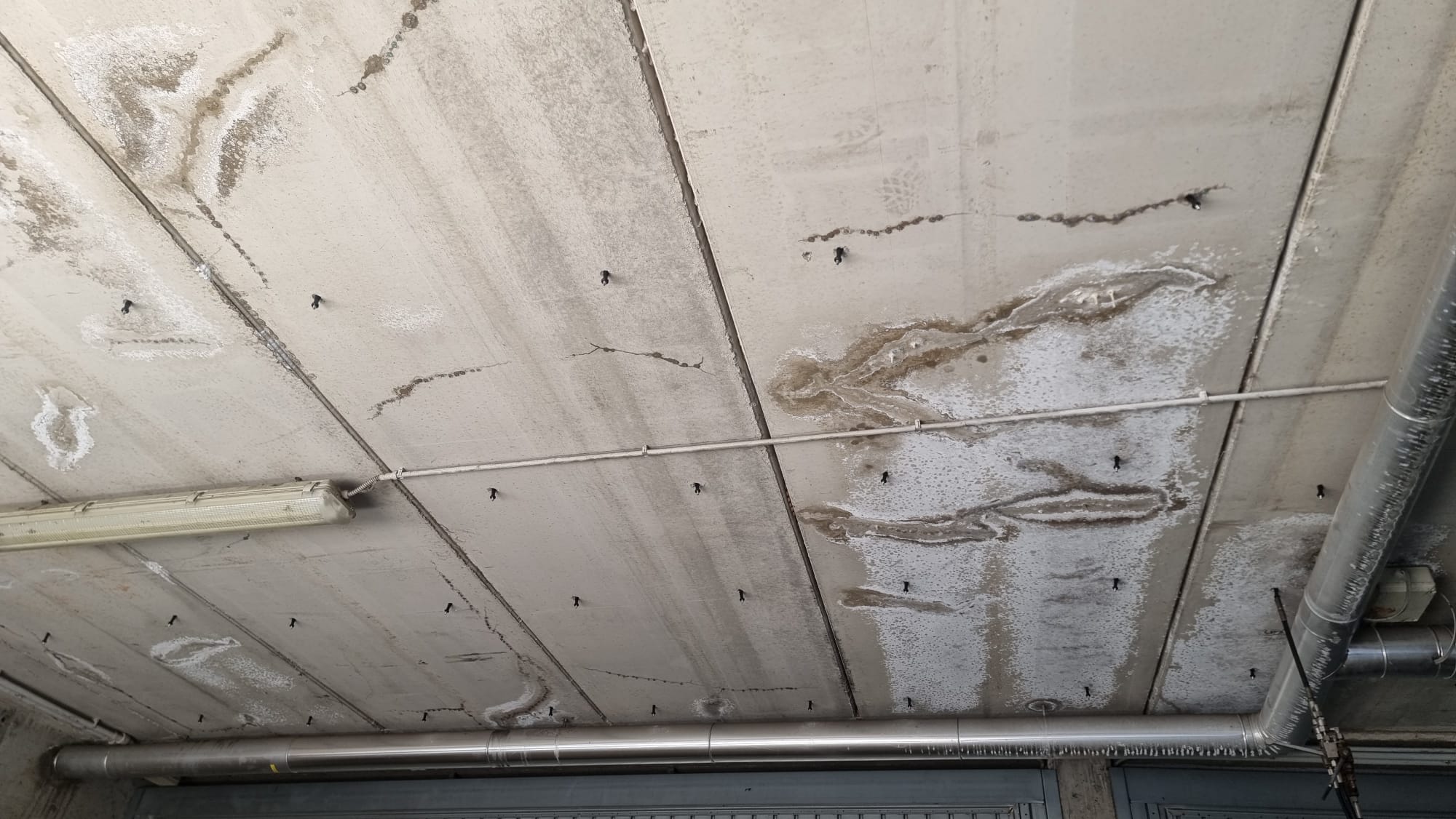 df4a6032-ca4b-4ce7-8d84-3ee34d9fc265