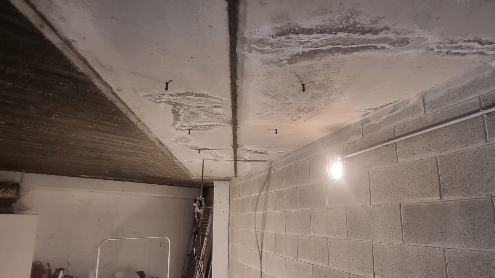 e8ace457-7559-4589-9c15-06fe024e45b0