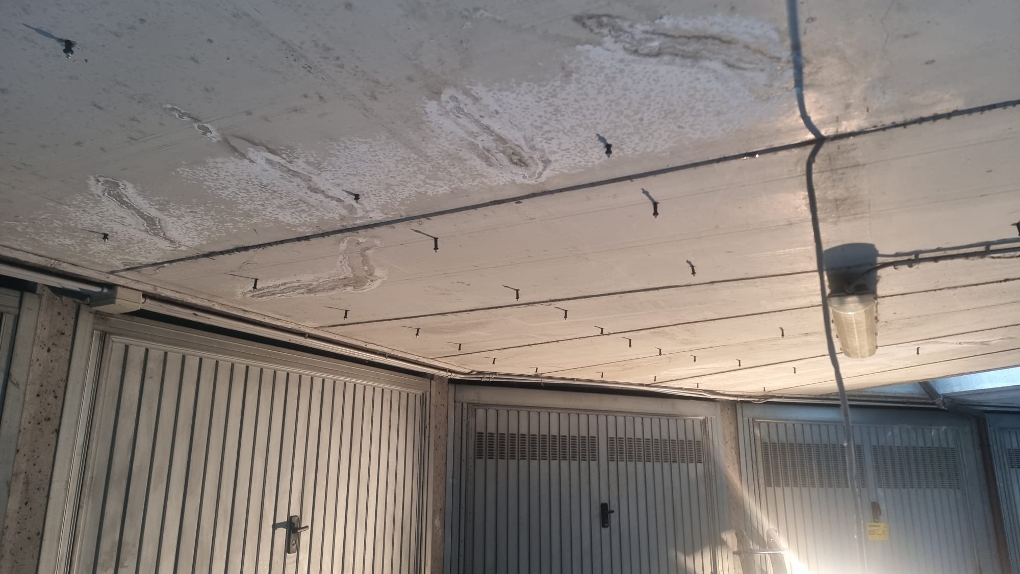 e9b33f8b-a73f-4040-939e-d06a5161bc96