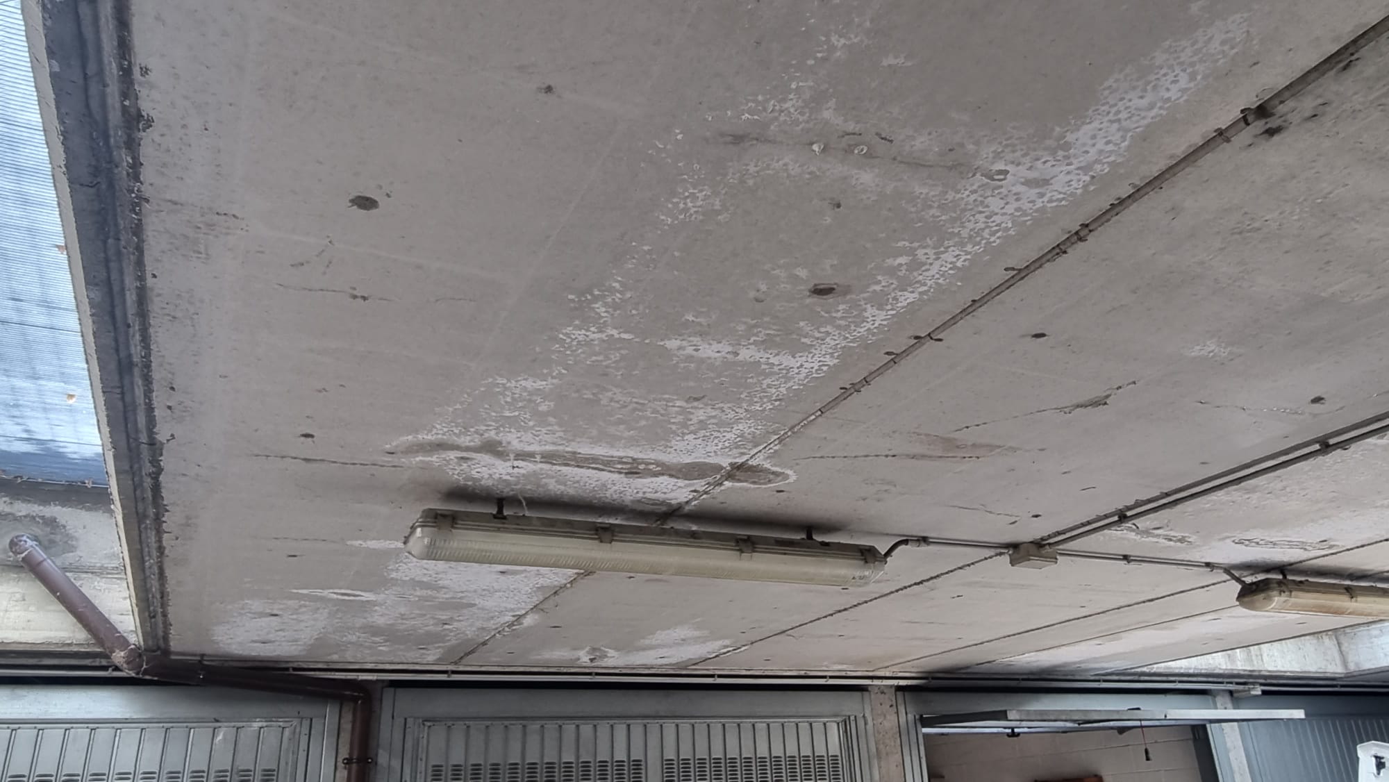 ff608074-6eda-4392-bb00-358ac6c2ea19